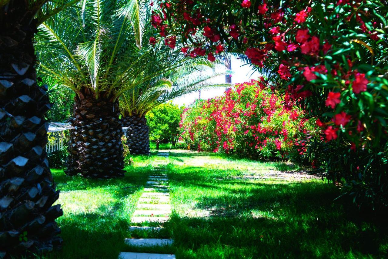 Ancient Meropia - Les Jardins Des Muses Apollonia  Ngoại thất bức ảnh